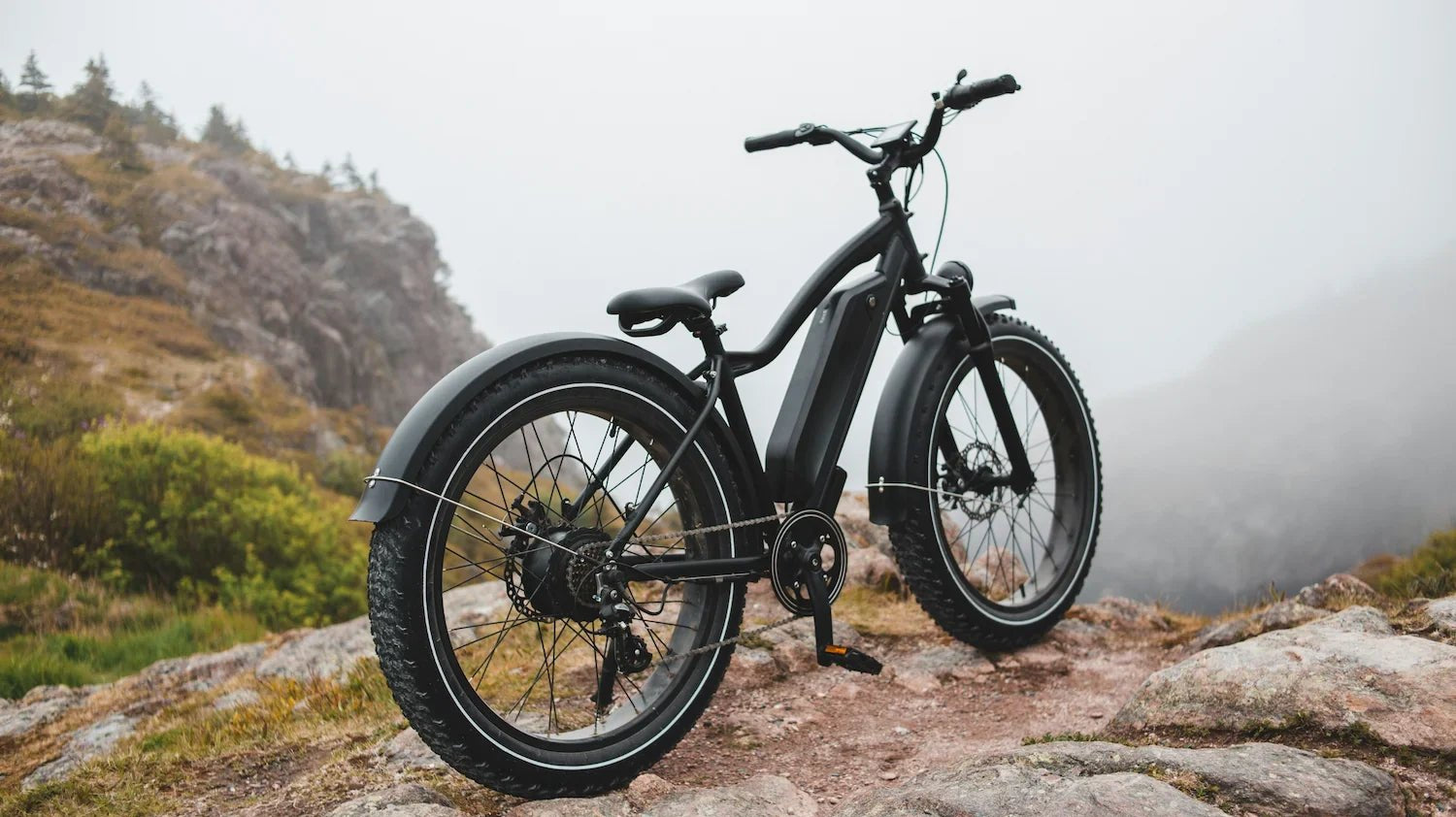 Scenic E-bike