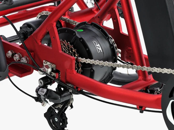 wombat-feature-05.webp__PID:e20b04ae-aae4-4f13-9efc-fee3514792b7